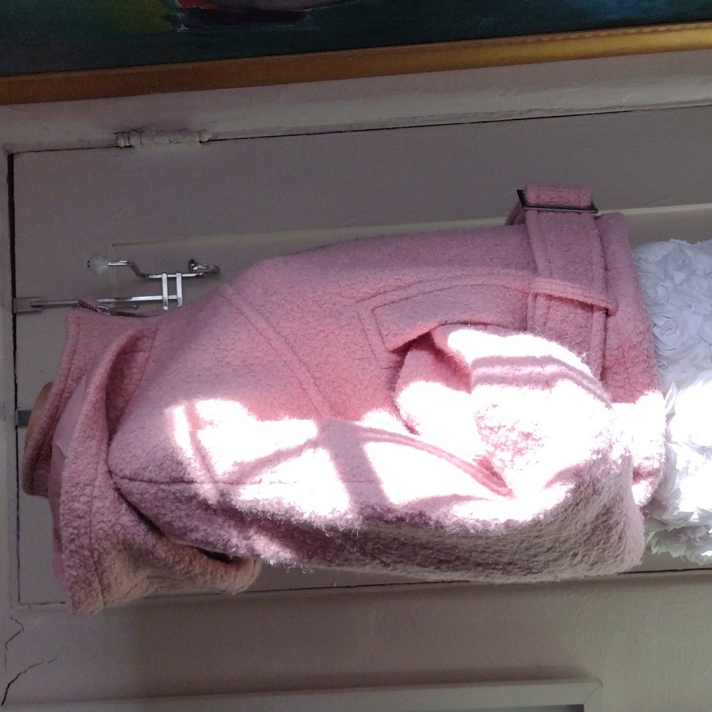 Topshop Pink Teddy Jacket with Hood M - Picture 6 of 11